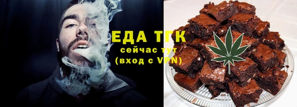 индика Богородицк