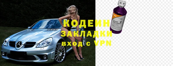 индика Богородицк