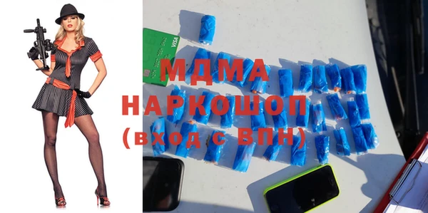 индика Богородицк