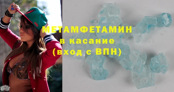 индика Богородицк