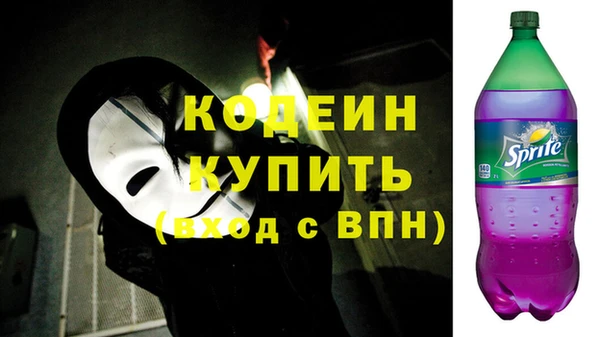 индика Богородицк