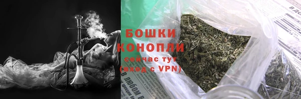 индика Богородицк
