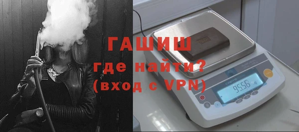 индика Богородицк