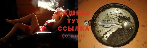 индика Богородицк
