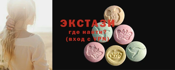 индика Богородицк