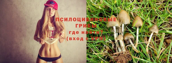 mdma Богданович