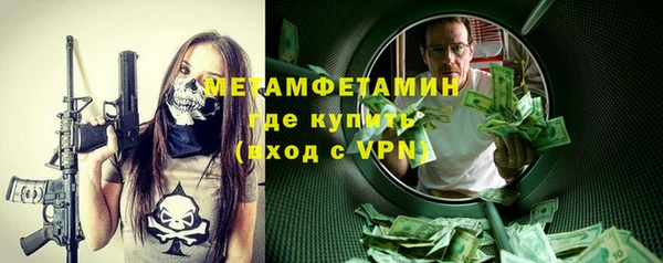 индика Богородицк