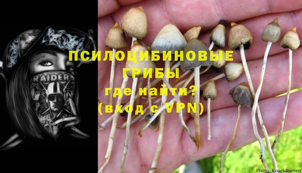 индика Богородицк