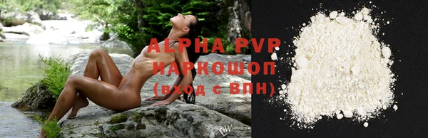 индика Богородицк