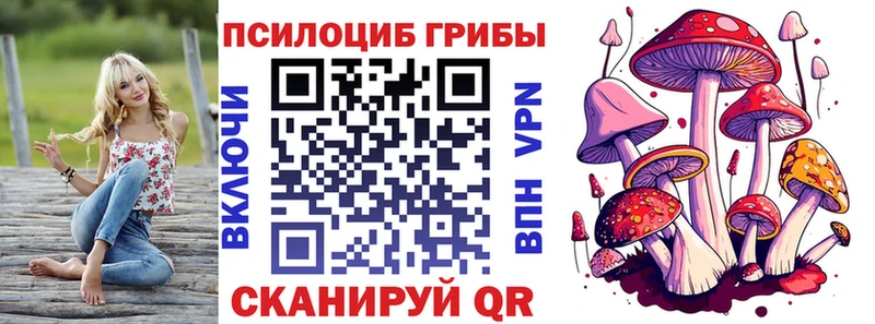 купить  сайты  Златоуст  Галлюциногенные грибы GOLDEN TEACHER 
