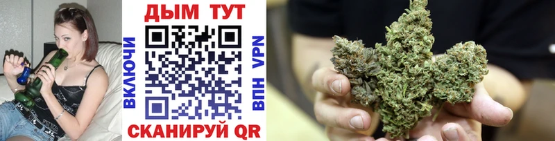 дарнет шоп  ОМГ ОМГ ссылка  Шишки марихуана Ganja  Златоуст 